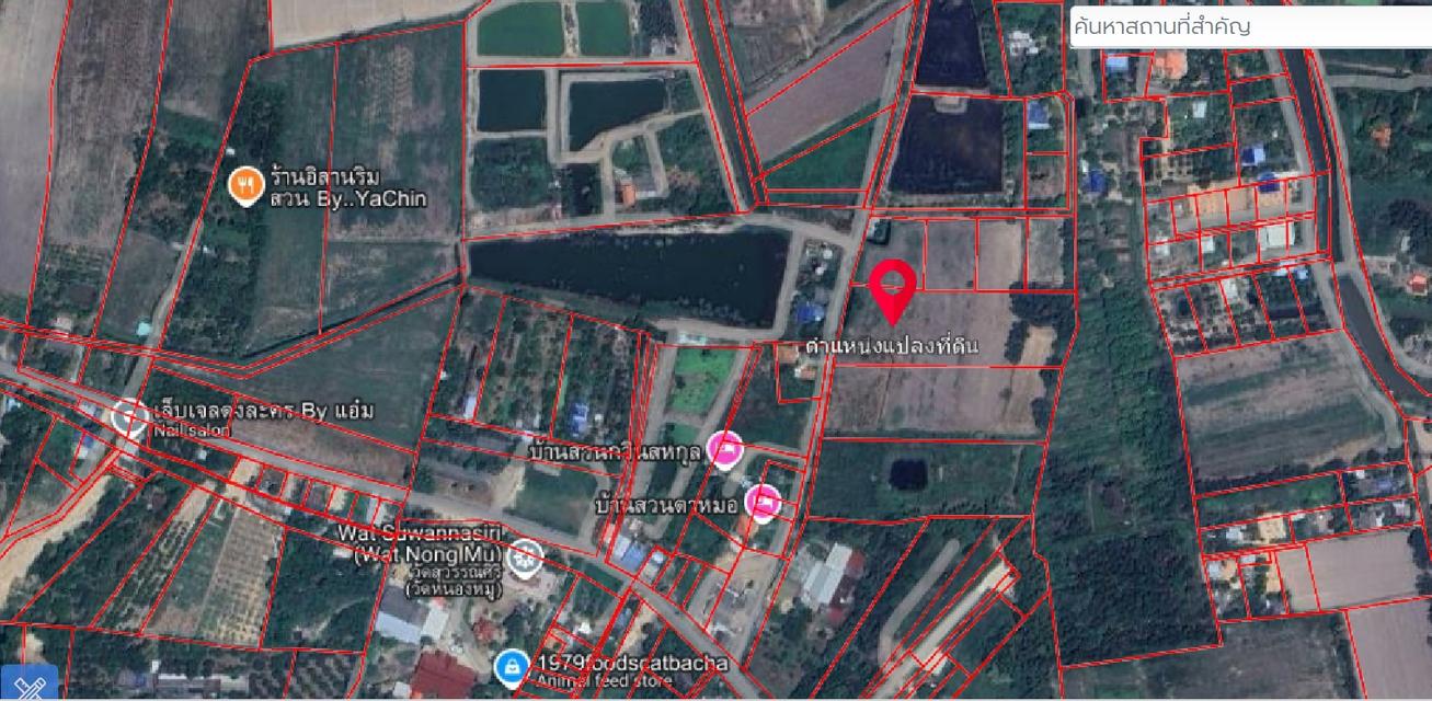 ขายที่ดินเปล่าแปลงใหญ่ 2 แปลงติดกัน ตำบลดงละคร อำเภอเมืองนครนายก จังหวัดนครนายก 5