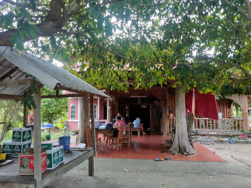 บ้านพร้อมที่ดิน ที่พิษณุโลก 4