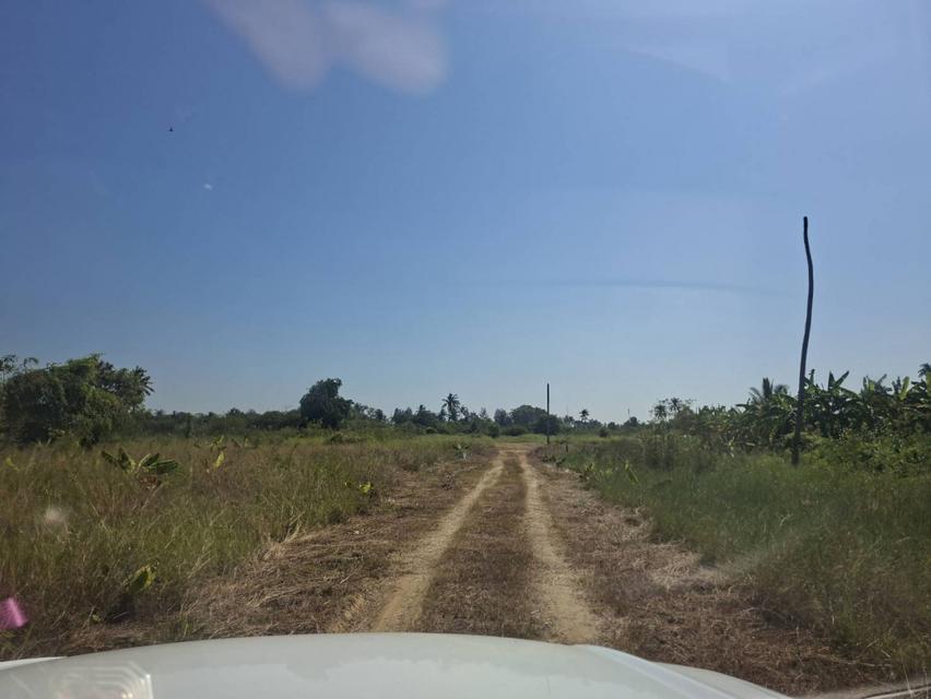 ขายที่ดิน แปลงสวย ตรงข้ามเซ็นทรัลศาลายา นครปฐม อำเภอสามพราน 60 ไร่ ติดถนนบรมราชชนนี เหมาะกับทำธุรกิจ 6