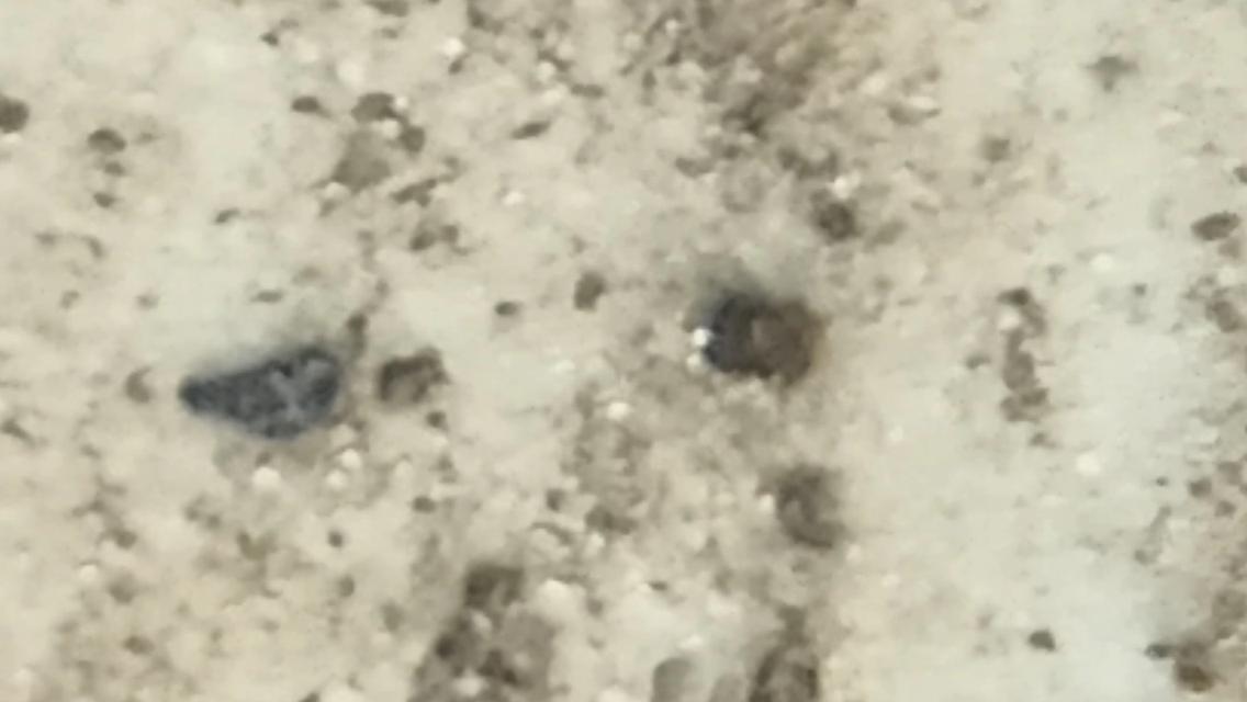 พระสมเด็จวัดเกศใชโยพิมพ์เก้าชั้น รูปที่ 10