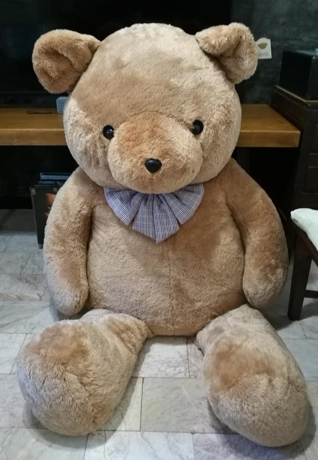 ส่งต่อพี่หมีตัวใหญ่ ของTeddy house ไม่มีที่วาง ใหม่มากห่อคลุมกันฝุ่นไว้ตลอด 5
