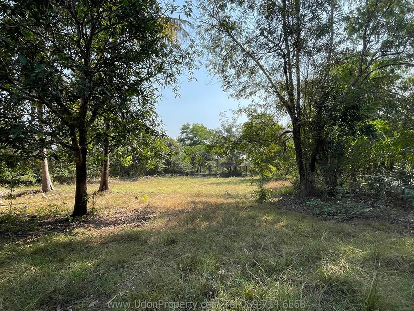 🔥 ขายด่วน! บ้านพร้อมที่ดิน พื้นที่ขนาดใหญ่ ใกล้เมือง จ.อุดรธานี (รหัส H1SS-491) 9