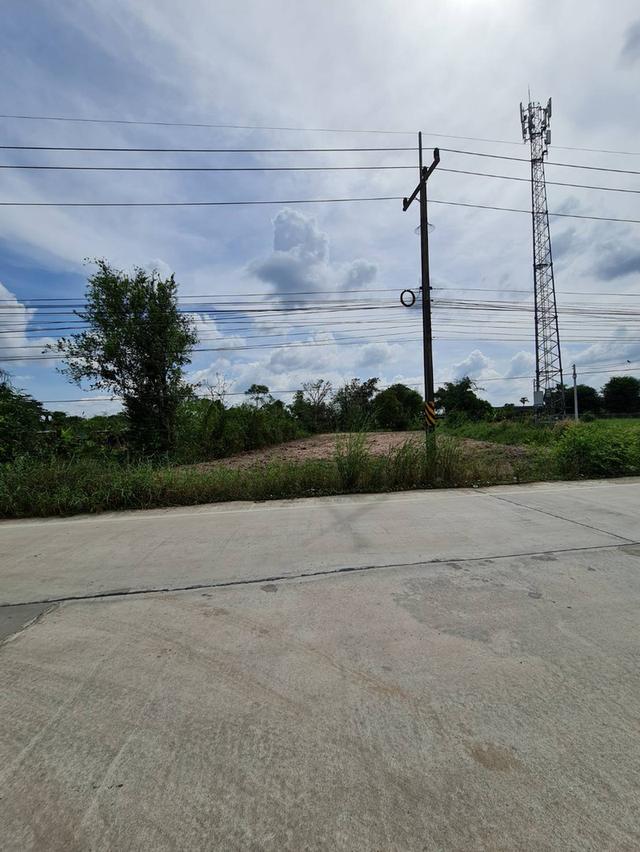 🏡 ขายที่ดิน หนองบอนแดง บ้านบึง ชลบุรี  📍 ทำเลดี ติดถนนสาธารณประโยชน์ 4