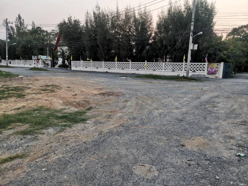ขายที่ดิน ทำเลดี 102 ตร.ว. ต.ศาลายา อ.พุทธมณฑล จ.นครปฐม 11