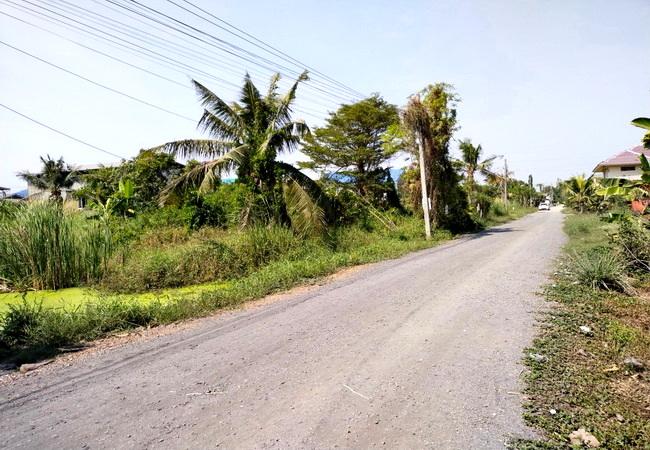 ขายที่ดิน ซอยแบนชะโด ถนนประชาร่วมใจ แขวงทรายกองดินใต้ เขตคลองสามวา กรุงเทพมหานคร 1