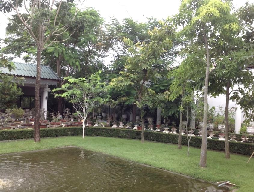 ขายบ้านหรูหลังใหญ่ ตกแต่งภายในอย่างดี บนเนื้อที่ 2-1-58ไร่ บ้านหัวกุญแจ บ้านบึง ชลบุรี โรงรถ สนามหญ้า ต้นไม้สวย พร้อมเข้าอยู่ (ปรับเปลี่ยนตามต้องการ) 4