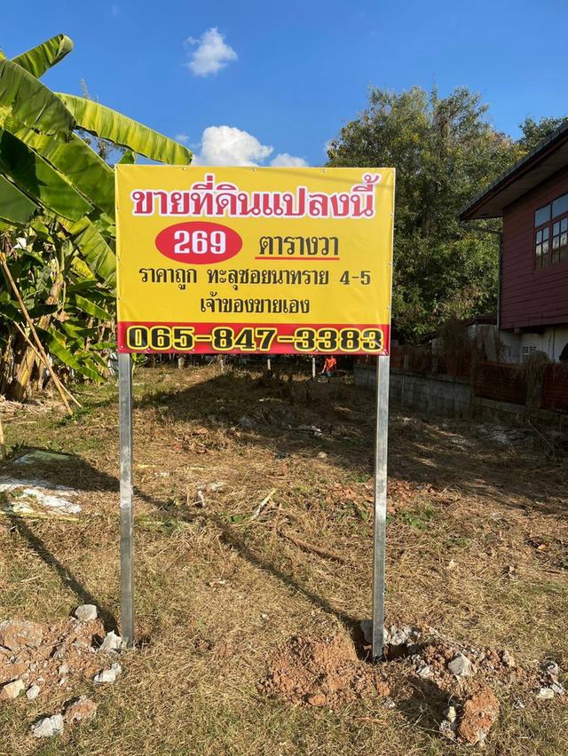 ขายที่ดินสวย ใกล้ทางหลวง ตำบลหนองบัว เมืองอุดรธานี 10