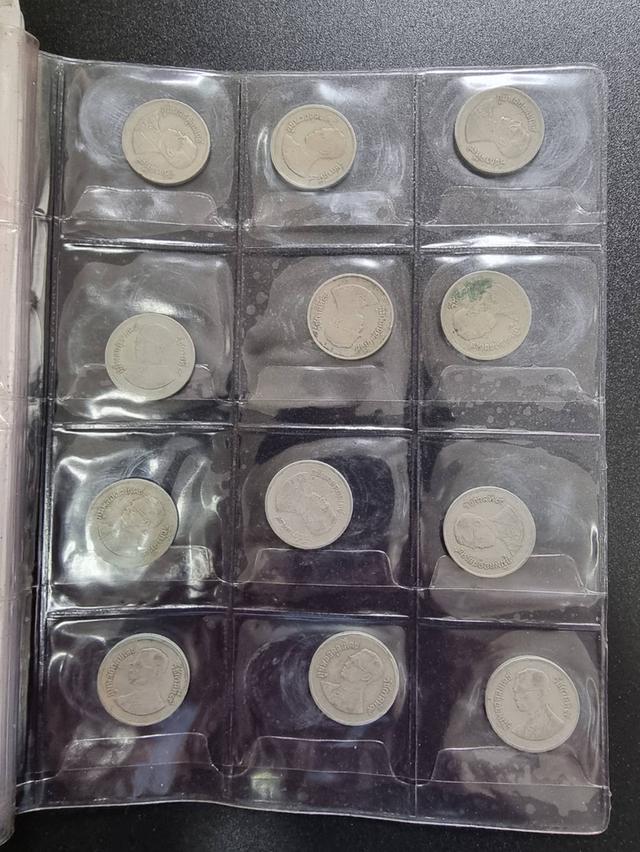 Coin Collection  12