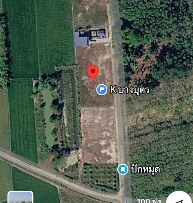ขายที่ดิน 200 ตร.วา บางบุตร บ้านค่าย ระยอง ใกล้แยกบางบุตร 800 เมตร 8