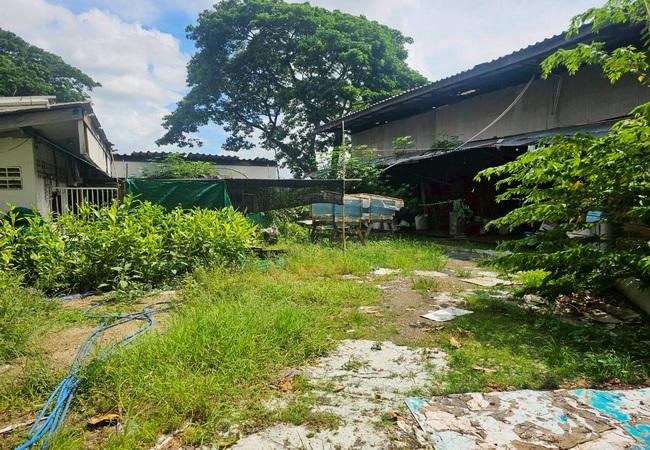 ขายที่ดิน ซอยสุวินทวงศ์ 28 เขตมีนบุรี กรุงเทพมหานคร เนื้อที่ 145 ตร.ว. พร้อมสิ่งปลูกสร้าง 4