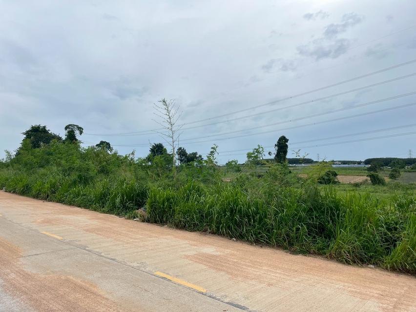 ขายที่ดิน ปลวกแดง ระยอง - ที่ดิน 12 ไร่  8