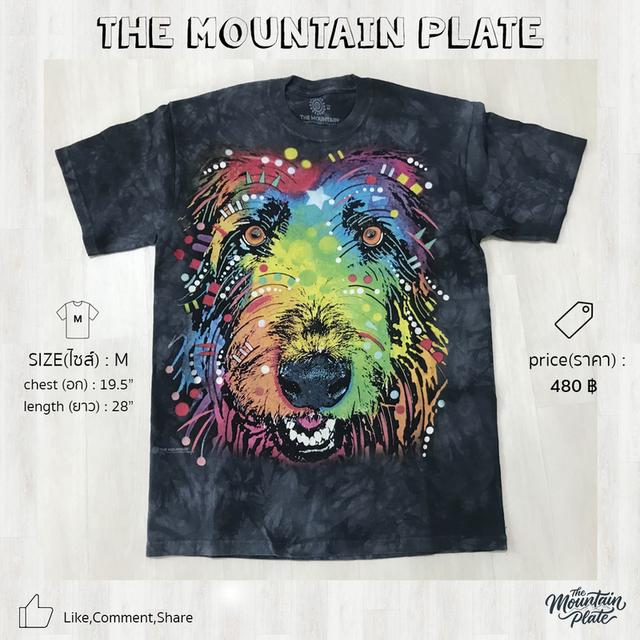 เสื้อยืด The Mountain