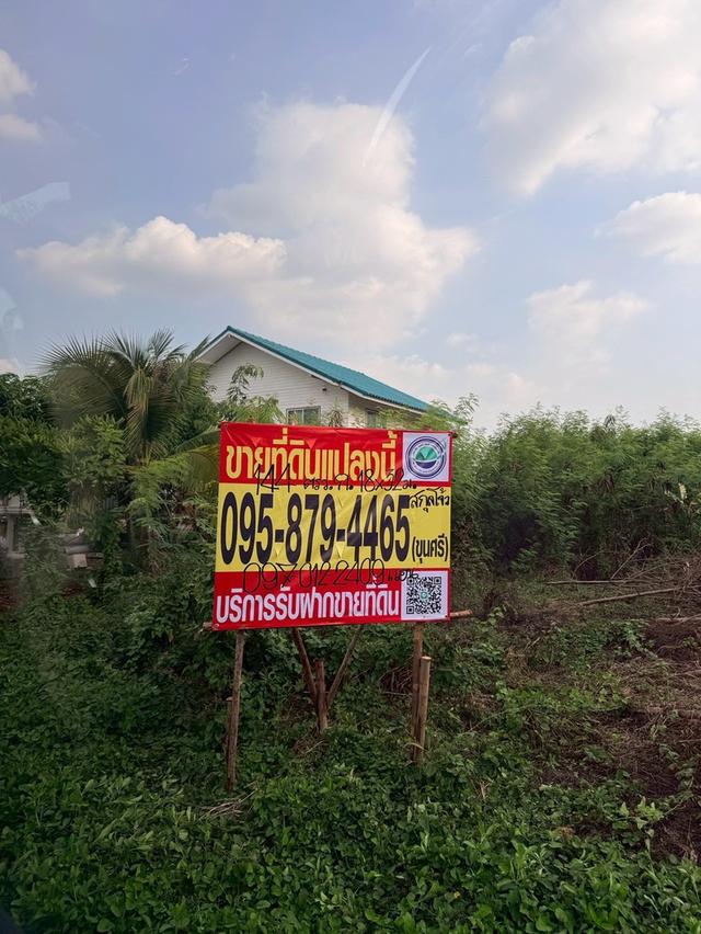 ขายด่วนที่ดินใกล้ อบต.บางหลวง 144 ตรว ติดถนนหินคลุก ต.บางหลวง เมืองปทุมธานี 9