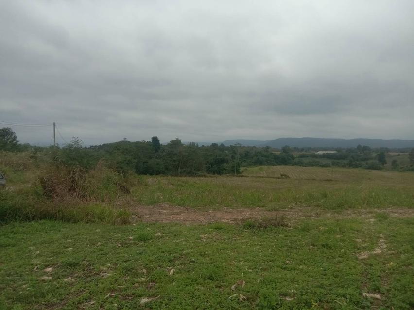 ที่ดินเปล่า 20 ไร่ๆละ 5 แสน แบ่งขายได้ คลองสอง วังน้ำเขียว 3