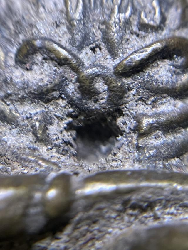 ปิดตายันยุ่ง หลวงปู่เอี่ยม หลวงพ่อทับ 7