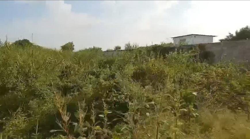 ขายที่ดินซอยวัดลาดปลาดุก 10 ไร่ 3