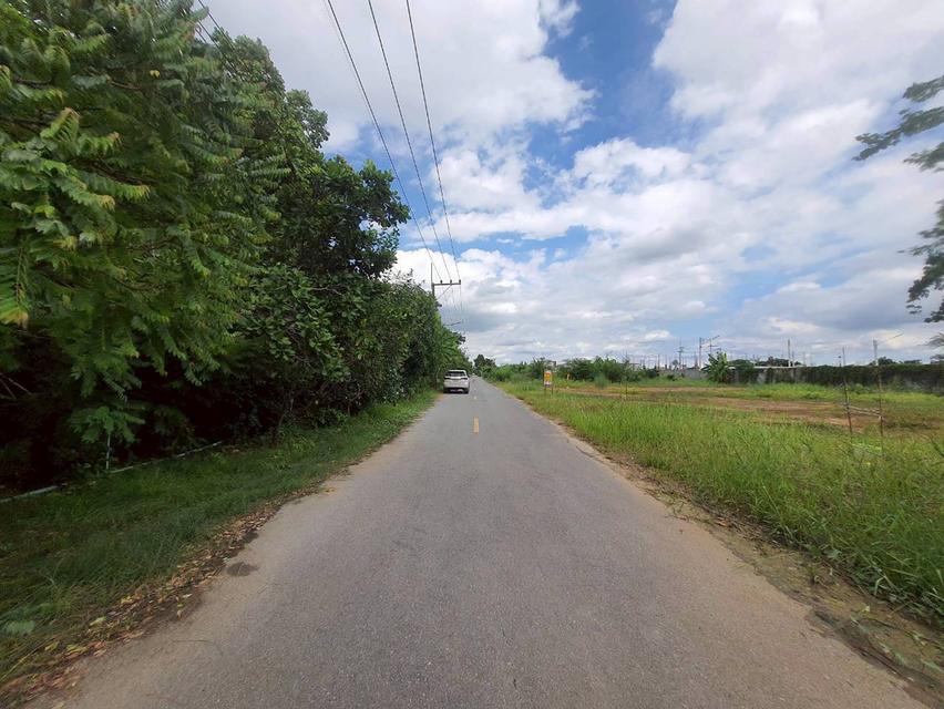 ขายที่ดินถมแล้ว 1 ไร่ ติดถนนลาดยางสาธารณะ ซ.คลองหกตะวันตก 25 อ.คลองหลวง จ.ปทุมธานี 8