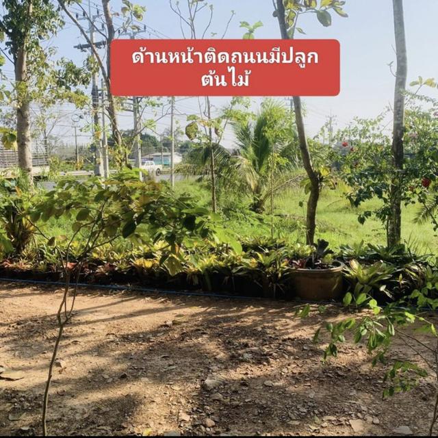 ขายที่ดิน5ไร่ติดถนนเพชรเกษมทำเลดี 6