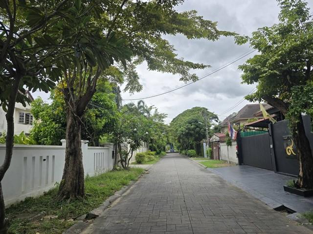 ให้เช่า บ้านเดี่ยว2ชั้น 150ตรว. อยู่ถ.พัฒนาการ69 ใกล้ซีคอนสแควร์ พาราไดซ์พาร์ค 2