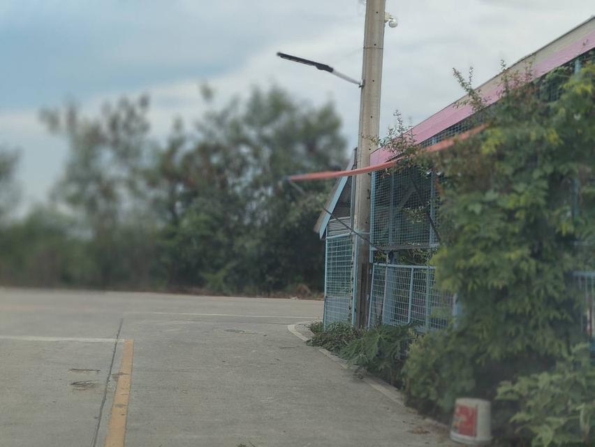 ที่ดินสวนเกษตร ไทรน้อย จ.นนทบุรี โฉนดครุฑแดง ถมแล้ว น้ำไฟถึงที่ดิน 2