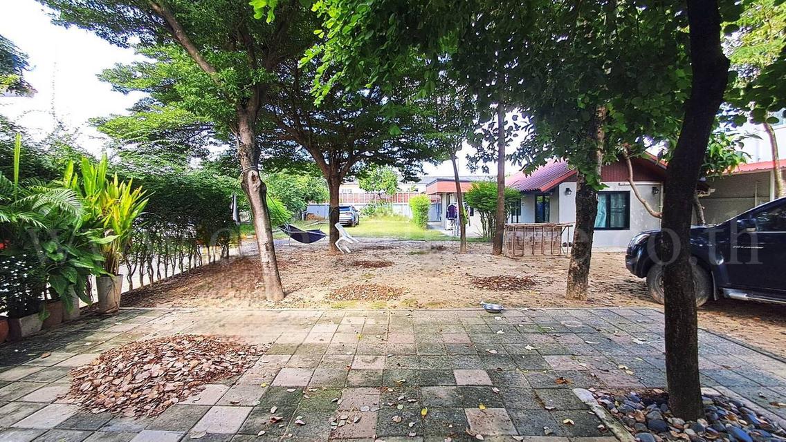 บ้านเดี่ยว พร้อมที่ดินถมแล้ว เทิดราชัน 17 ดอนเมือง ราคาถูก 2