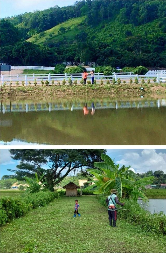 ขายที่ดินอ.เชียงดาว​ จ.เชียงใหม่ 13