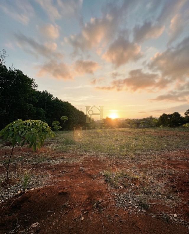 ขายที่ดินสวนยางพารา อำเภอพาน จังหวัดเชียงราย พร้อมทำประโยชน์ต่อได้ทันที 9