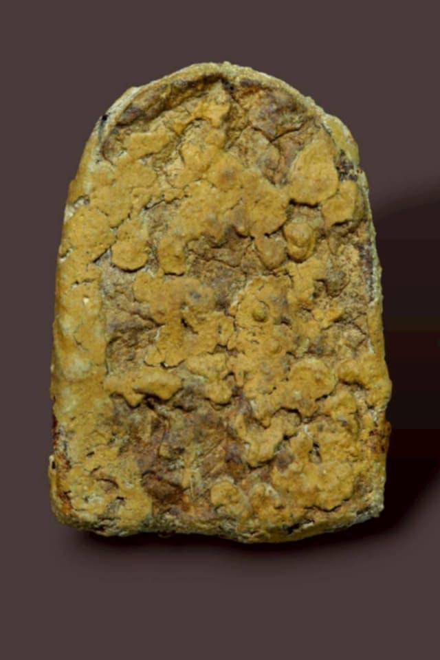 พระซุ้มกอเนื้อว่านหน้าทอง รูปที่ 3