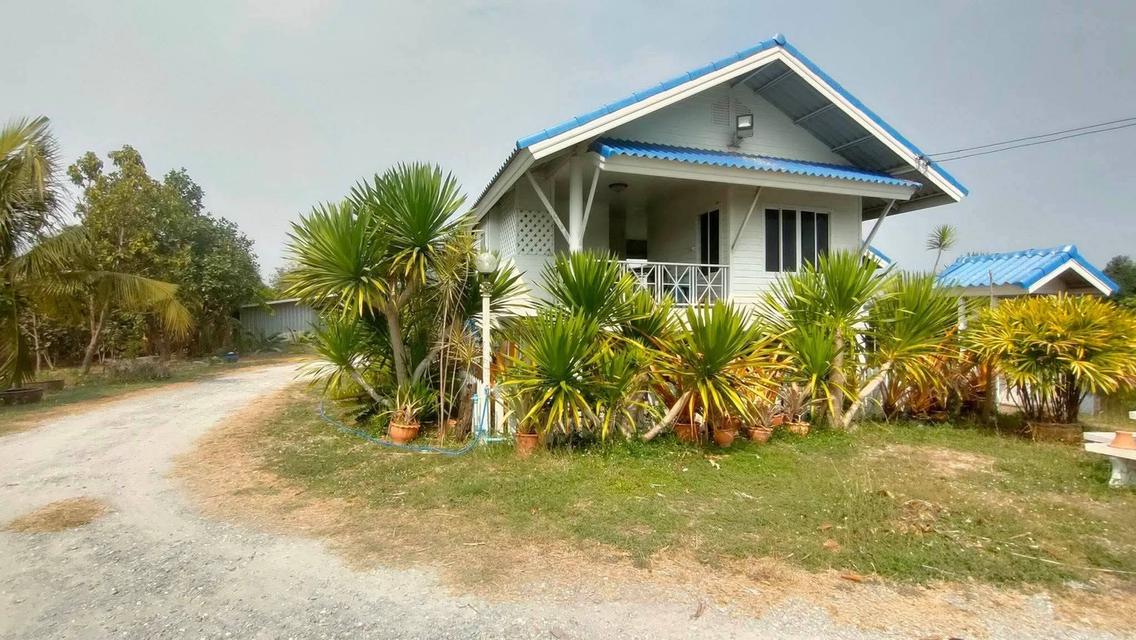 บ้านพร้อมที่ดินแปลงใหญ่ 2