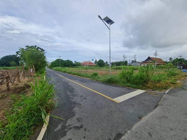 ขายที่ดินวิวเขา บางเสร่ 1ไร่ | เหมาะทำรีสอร์ท/บ้านพัก/เพื่อการลงทุน 4