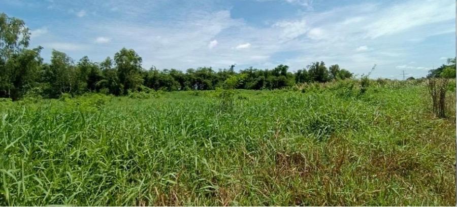 ขายที่ดินตำบลคูขวาง อำเภอลาดหลุมแก้ว ปทุมธานี   เนื้อที่ 4 ไร่ สามารถทำโรงงาน 2