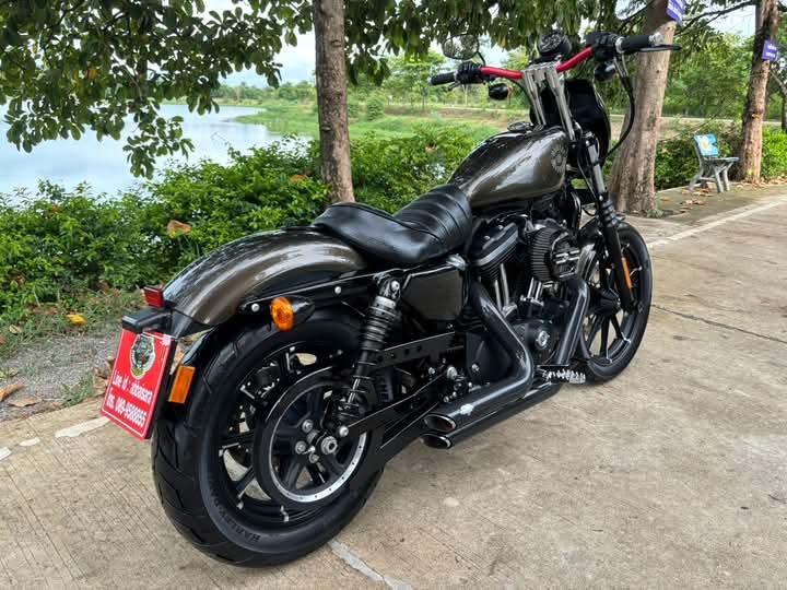 Harley Davidson Iron ปล่อยขายถูก 6