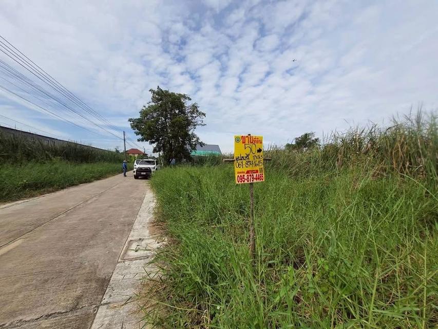 ขายด่วนที่ดินใกล้มอเตอร์เวย์ 50 ตารางวา ติดถนนคอนกรีตสาธารณะ ชอย คลองสี่ตะวันออก 14 อ.คลองหลวง จ.ปทุมธานี 2