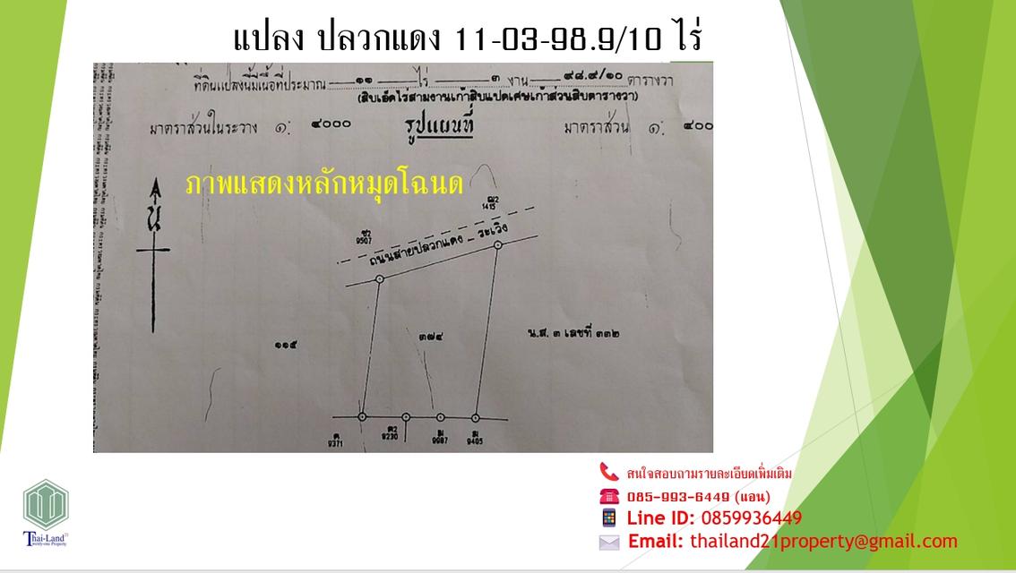 ขายที่ดินสีเหลือง อำเภอปลวกแดง จังหวัดระยอง  เนื้อที่ 11 ไร่ 3 งาน 98.9 ตารางวา 1