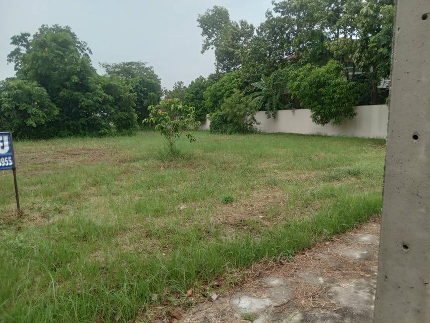 ขายที่ดินเปล่า 235 ตรว.ติดทะเลสาบ อยู่ในโครงการหมู่บ้านเดอะลากูน 1 ปทุมธานี 3