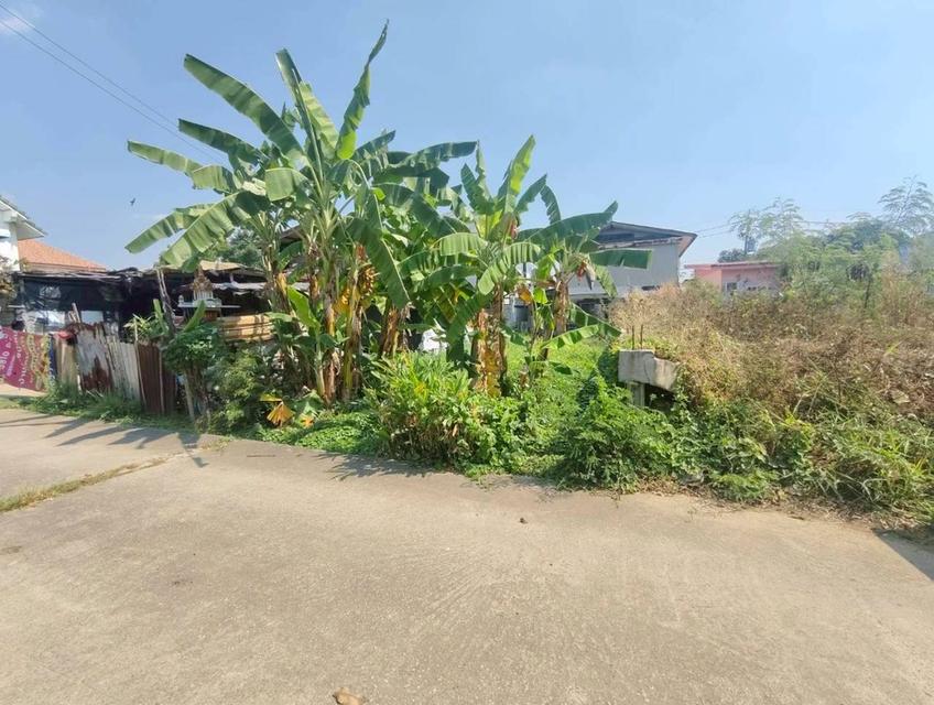 ที่ดินทวีวัฒนา 30 ตรว.ราคาพิเศษ 2