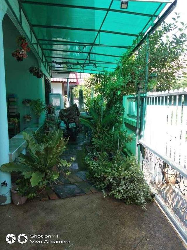 โอกาสสุดท้าย! เป็นเจ้าของบ้านชั้นเดียวในทำเลที่ใครก็อยากได้ โซนสุเทพ เชียงใหม่ เดินทางสะดวกสบาย ใกล้แหล่งชุมชน มหาวิทยาลัยเชียงใหม่ 5