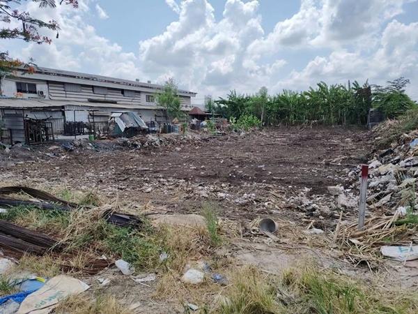 L906 ขายที่ดินประเวศ 200 ตรว เฉลิมพระเกียรติ ร.9 สวนหลวง ใกล้รถไฟฟ้าสถานีศรีอุดม 4