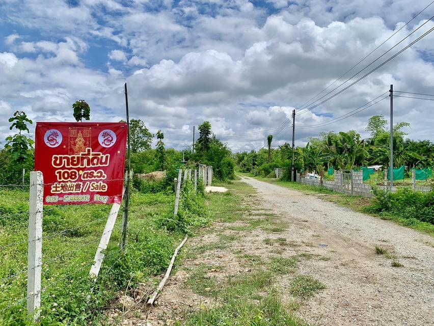 ขายที่ดินวิวภูเขา แม่วาง เชียงใหม่ 1