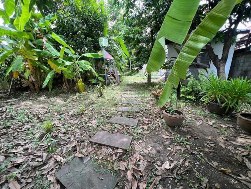 LA00127 ขาย ที่ดิน ซอยนวลจันทร์ 36 ถนนนวลจันทร์  2