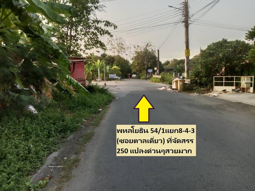 ขายที่ดินจัดสรรโครงการจัดสรรใหญ่ใกล้ถนนพหลโยธิน 129 ตารางวา แปลงมุม แปลงสวยประจำโซนจัดสรรนี้ พหลโยธิน 54/1 แยก 8-4-3 ซอยตาลเดี่ยว หรือเข้าสายไหม 6 20