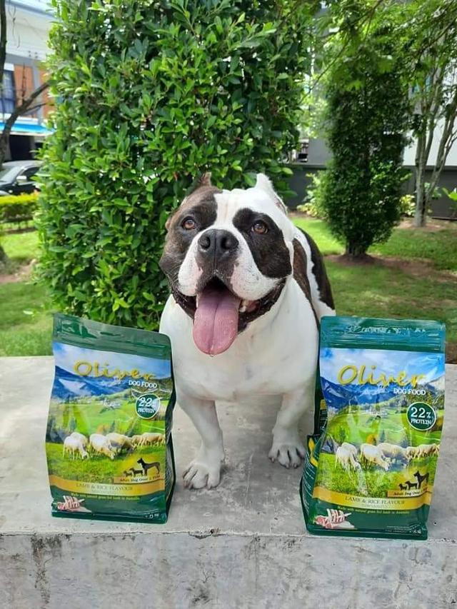 Oliver Dog Food 1