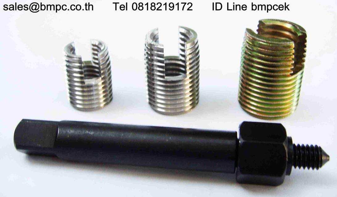 Brass insert type D, พุกเกลียวทองเหลือง, Amecoil, Schnorr