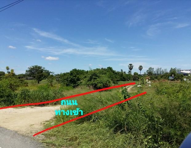 ให้เช่าที่ดินนาป่าชลบุรี ให้เช่าเหมาที่ดินใกล้มอเตอร์เวย์เนื้อที่ 2 ไร่ นาป่า เมืองชลบุรี ที่ดินเหมาะทำการเกษตร แคมป์คนง 4