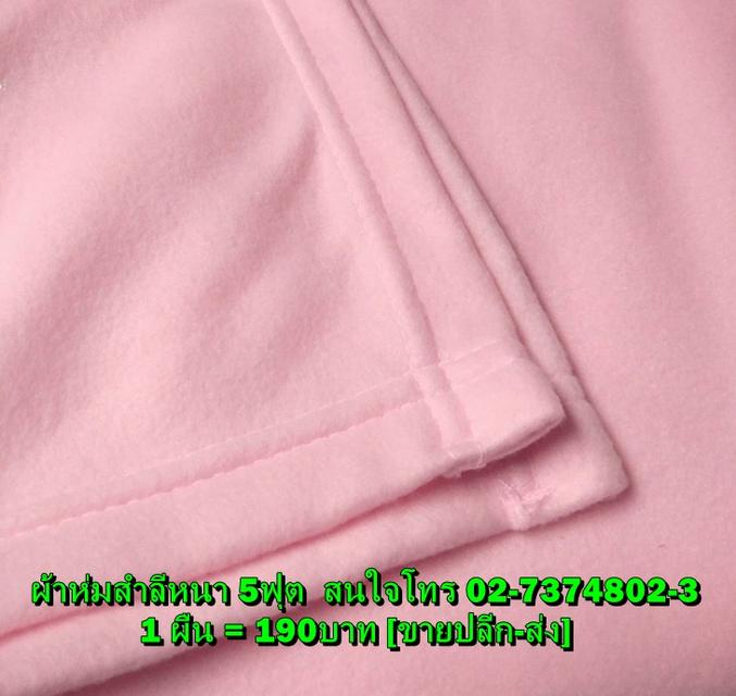 ศูนย์รวมผ้าห่มสำลีฟรีส 5 ฟุต สินค้าจากโรงงาน ยกลังได้ โทร 02-7374802-3 รูปที่ 8