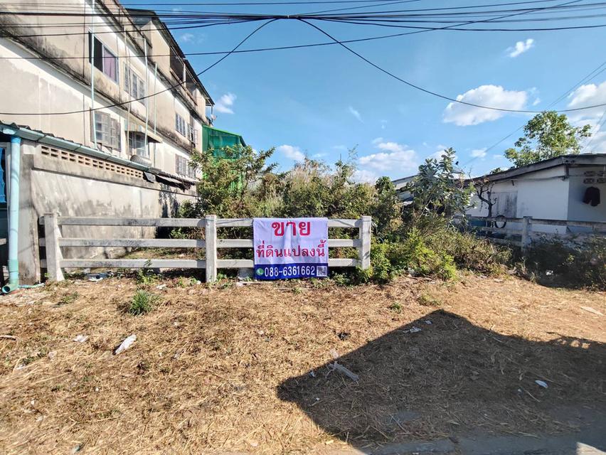 ขายที่ดิน ปลูกบ้าน นิคมพัฒนา ระยอง ซ.บ้านลุงประเสริฐ ใกล้ปากซอย ทำเลสะดวก ใกล้ ห้าง ตลาด เซเว่นหน้าปากซอย 1
