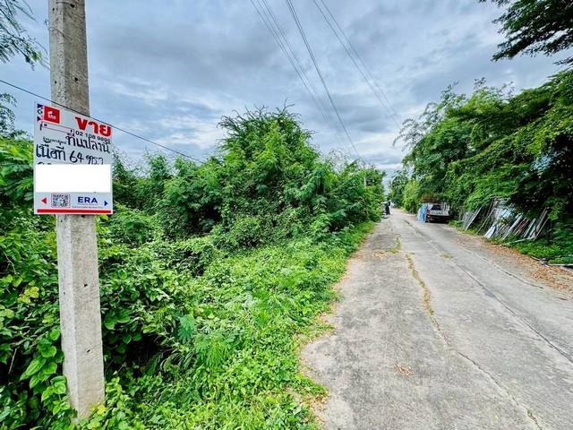 ขายที่ดิน 64 ตารางวา ตำบลช่องสะแก อำเภอเมืองเพชรบุรี จังหวัดเพชรบุรี 1