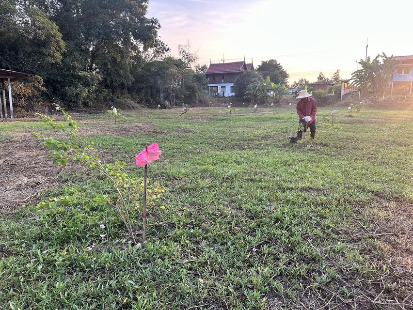 ขายที่ดิน 1 ไร่ (400 ตร.วา) ต.สวนพริก เมืองพระนครศรีอยุธยา 5