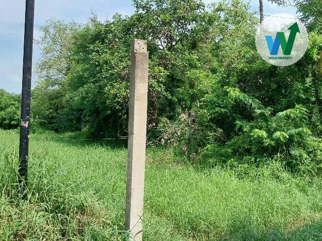 ขายที่ดินสวย ทำเลดี ใกล้บิ๊กซี ขอนแก่น2 9