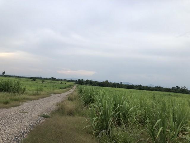 เช่าหรือซื้อยังไงก็คุ้ม ขายที่ดินสวยติดภูเขา เทือกเขายาวเรียงแนว ดินดีสมบูรณ์ทรัพย์ในดิน ฟ้าใสวิวหลักล้าน ต.นาจาน อ.สีชม 2